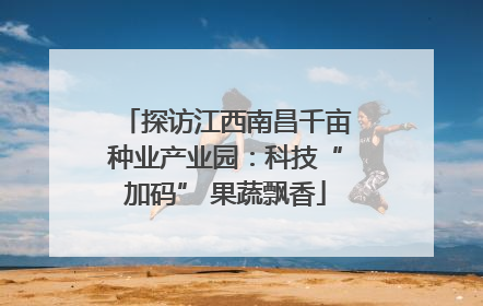 探访江西南昌千亩种业产业园：科技“加码” 果蔬飘香